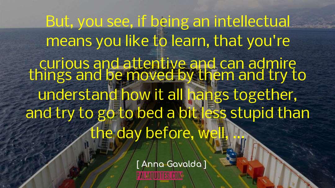 Intellectual Laziness quotes by Anna Gavalda