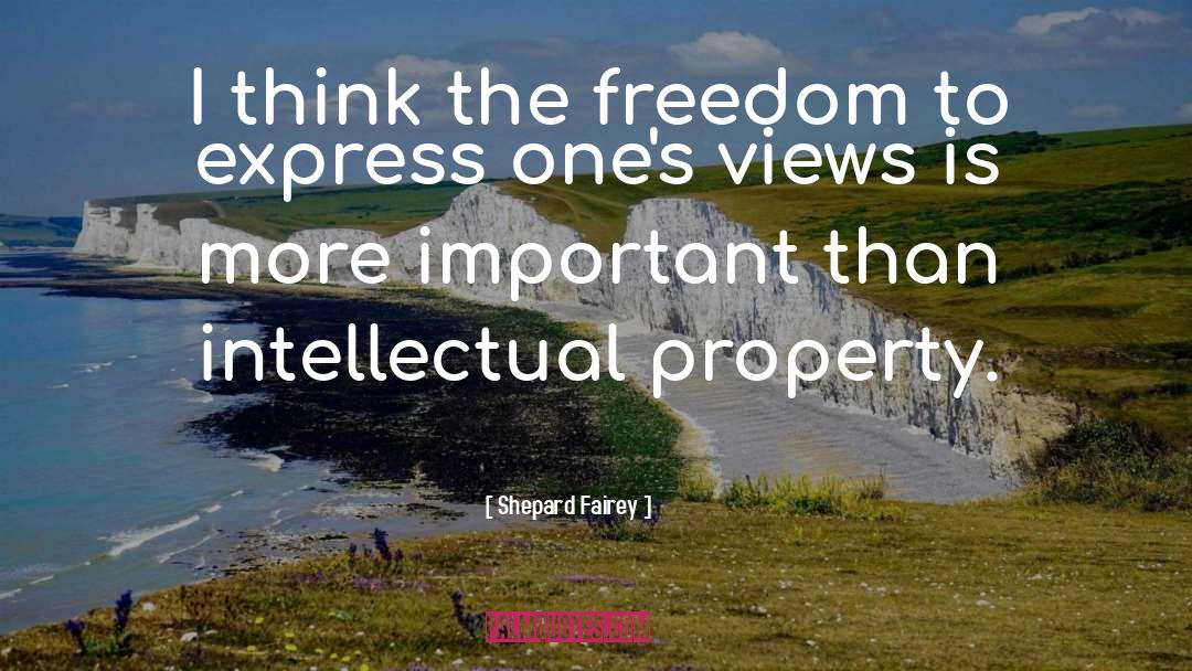 Intellectual Property quotes by Shepard Fairey