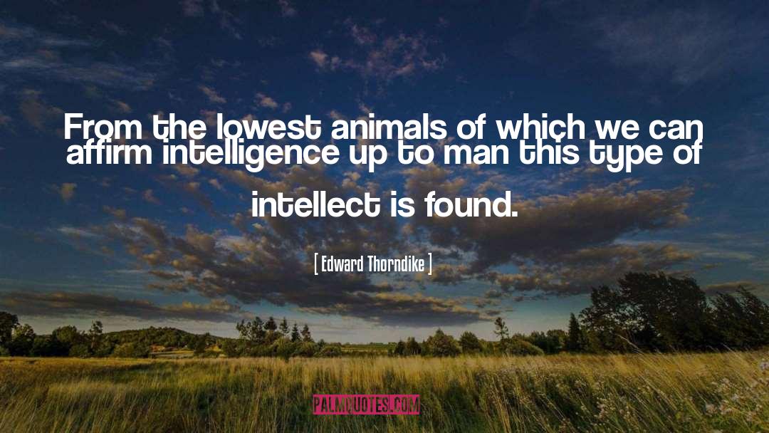 Intelligence Ethics Dilemmas quotes by Edward Thorndike
