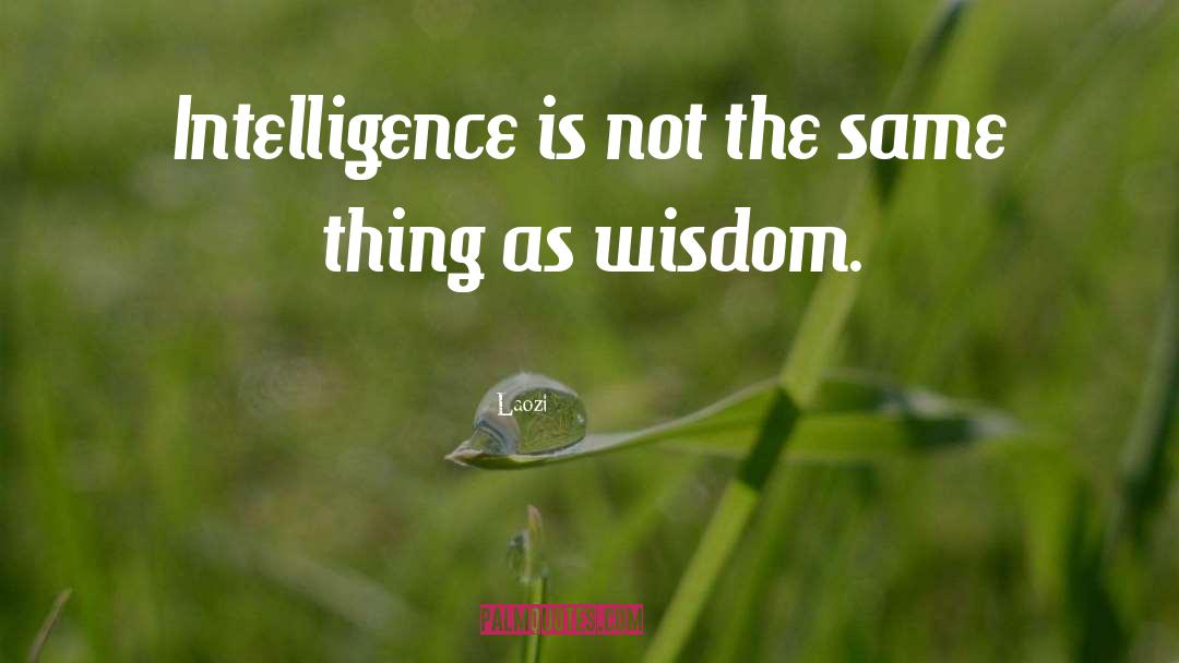 Intelligence Tumblr quotes by Laozi