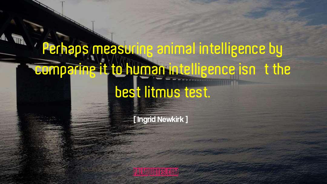 Intelligence Tumblr quotes by Ingrid Newkirk