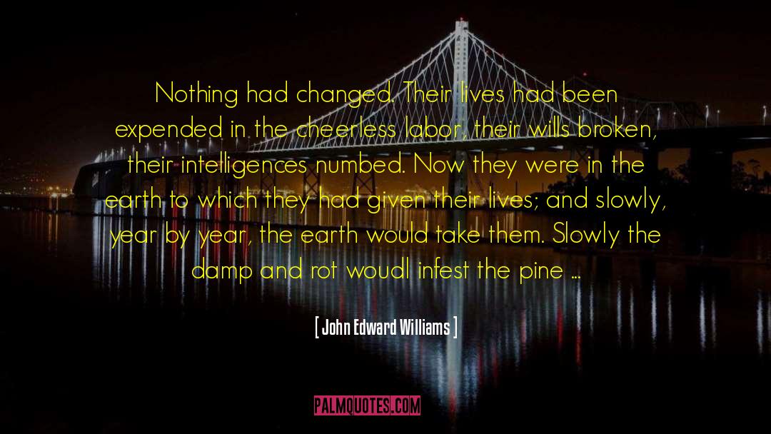 Intelligences quotes by John Edward Williams