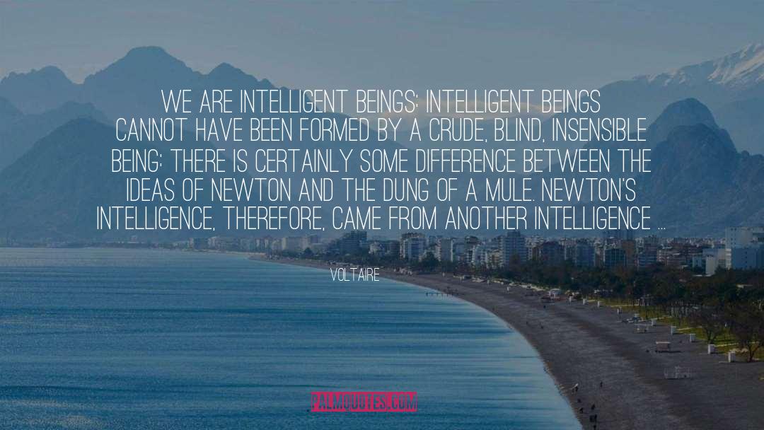 Intelligent Design quotes by Voltaire