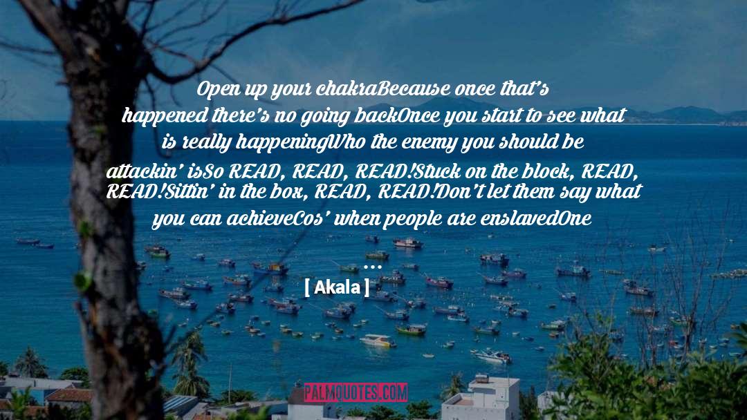 Intelligent People quotes by Akala