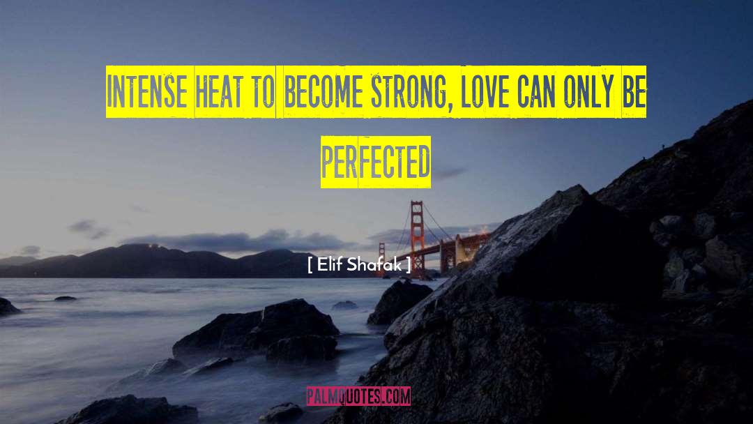 Intense Love Making quotes by Elif Shafak