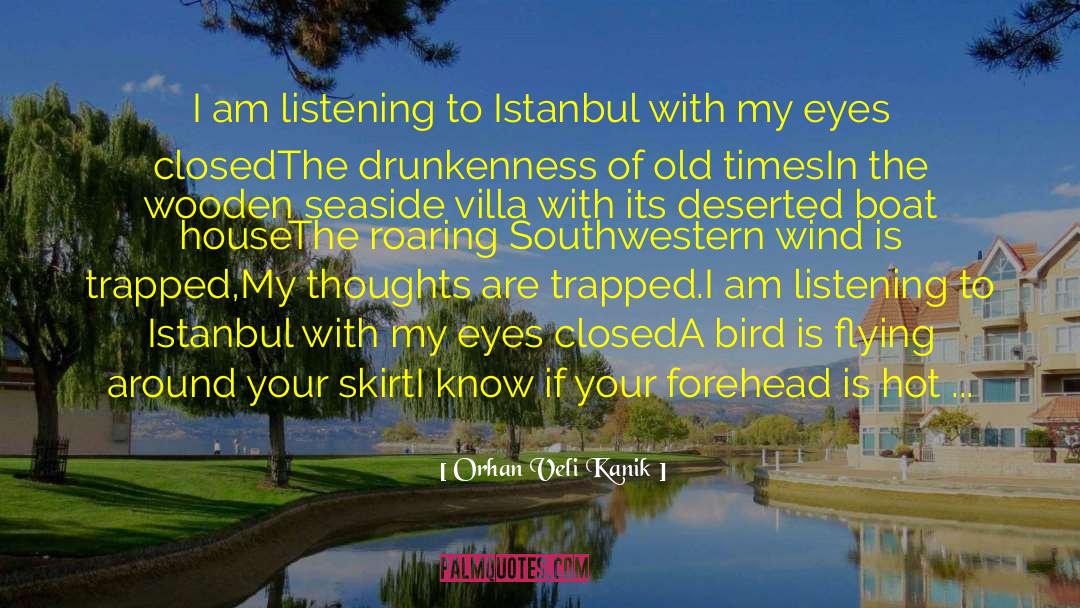 Intensity Of Thoughts quotes by Orhan Veli Kanik