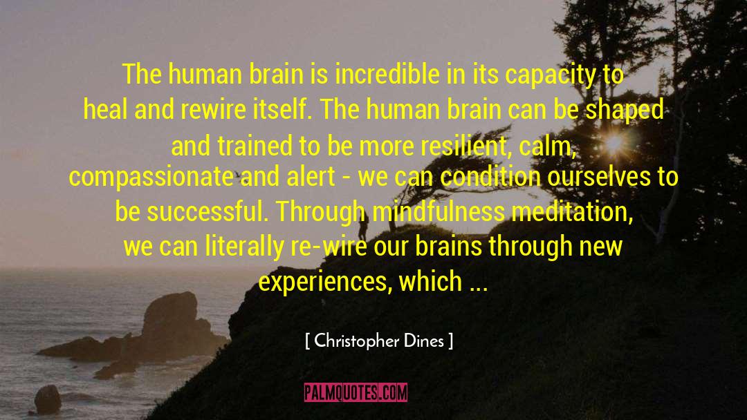 Inter Brain Synchrony quotes by Christopher Dines