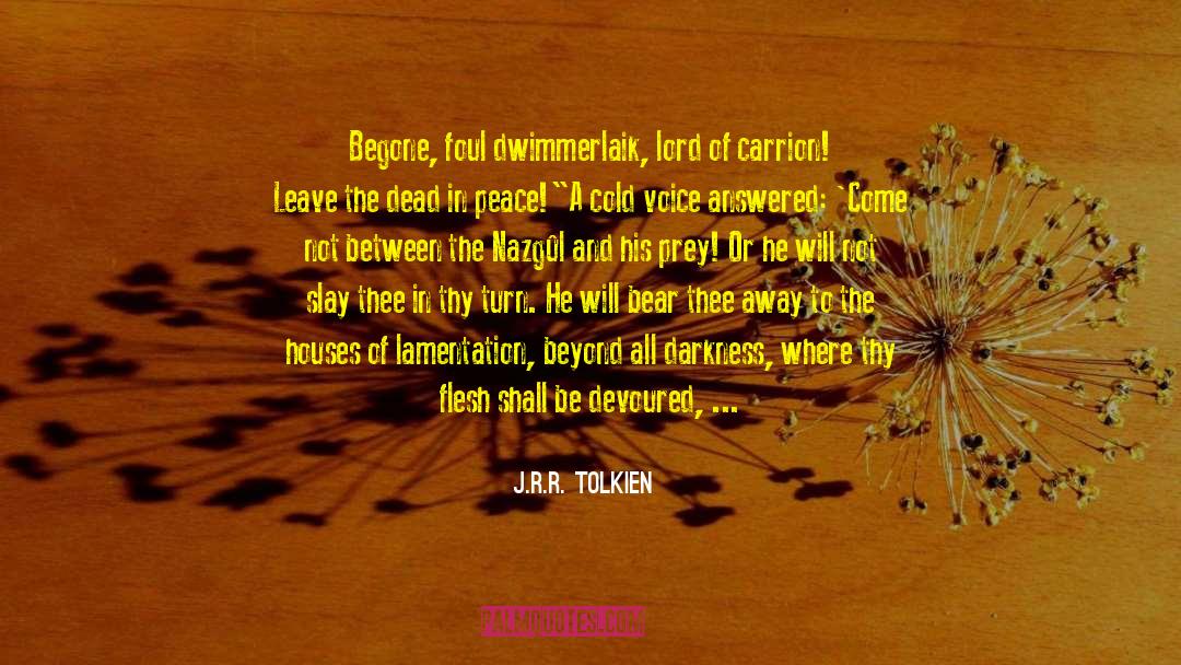 Interconexi C3 B3n quotes by J.R.R. Tolkien