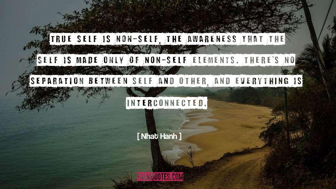 Interconnected quotes by Nhat Hanh