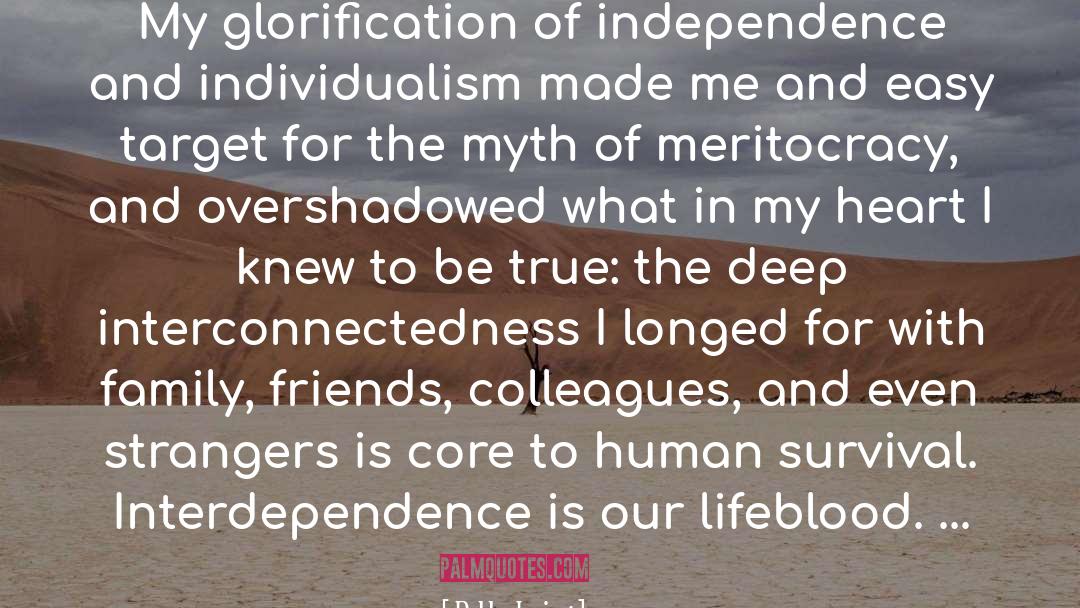 Interconnectedness quotes by Debby Irving