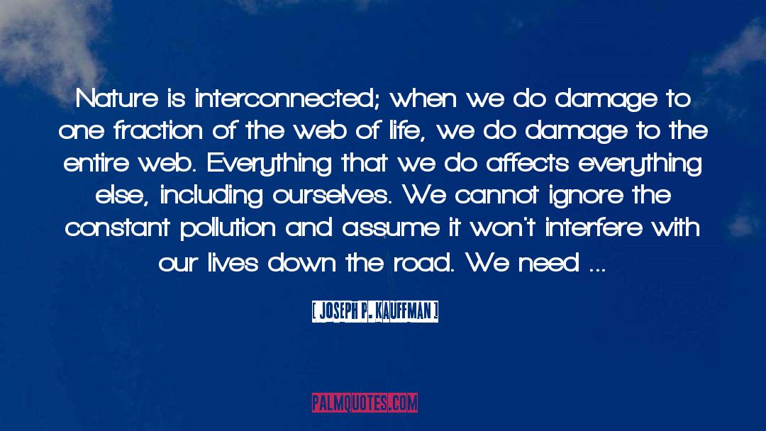 Interconnectedness quotes by Joseph P. Kauffman