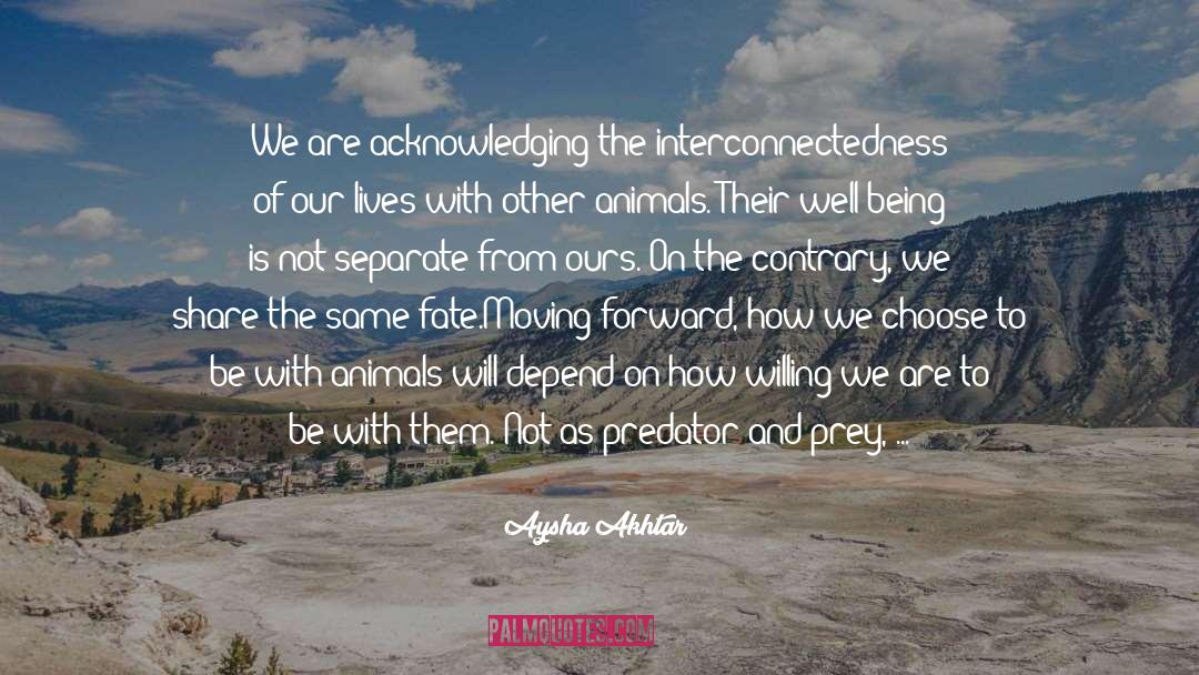 Interconnectedness quotes by Aysha Akhtar