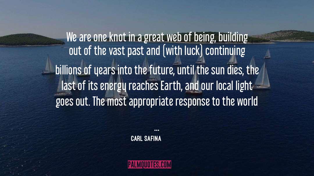 Interconnectedness quotes by Carl Safina