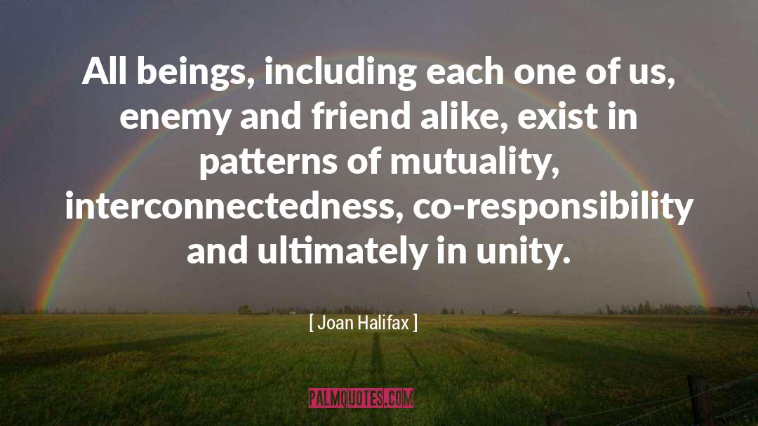 Interconnectedness quotes by Joan Halifax