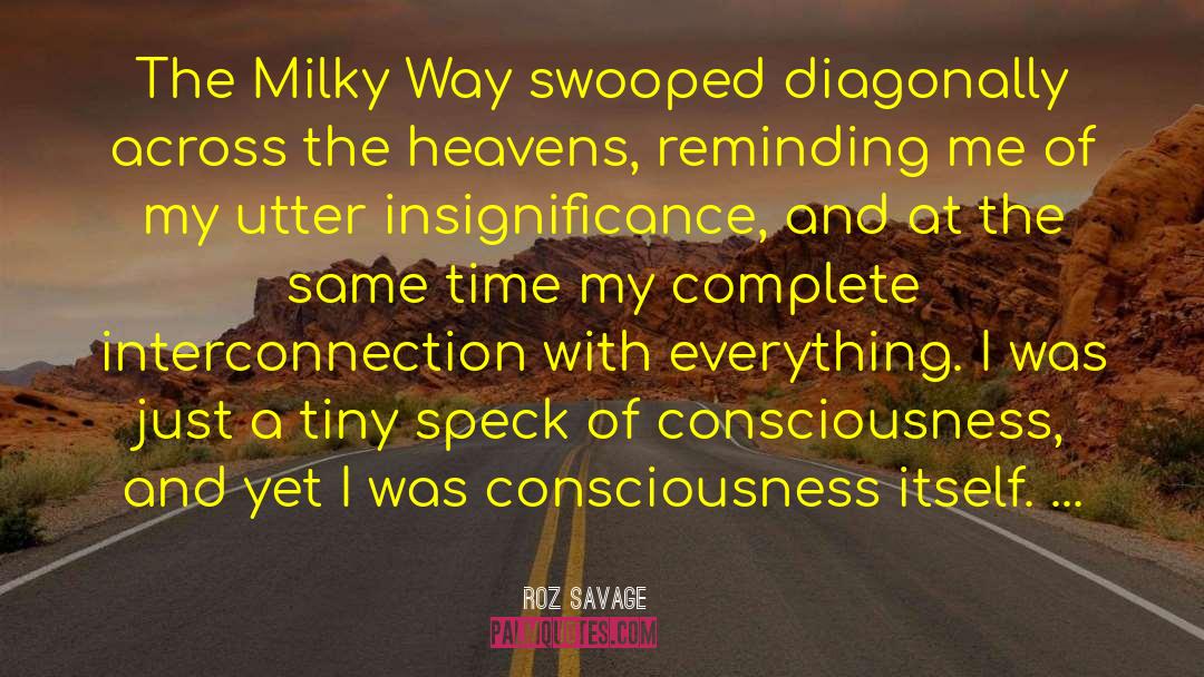 Interconnection quotes by Roz Savage