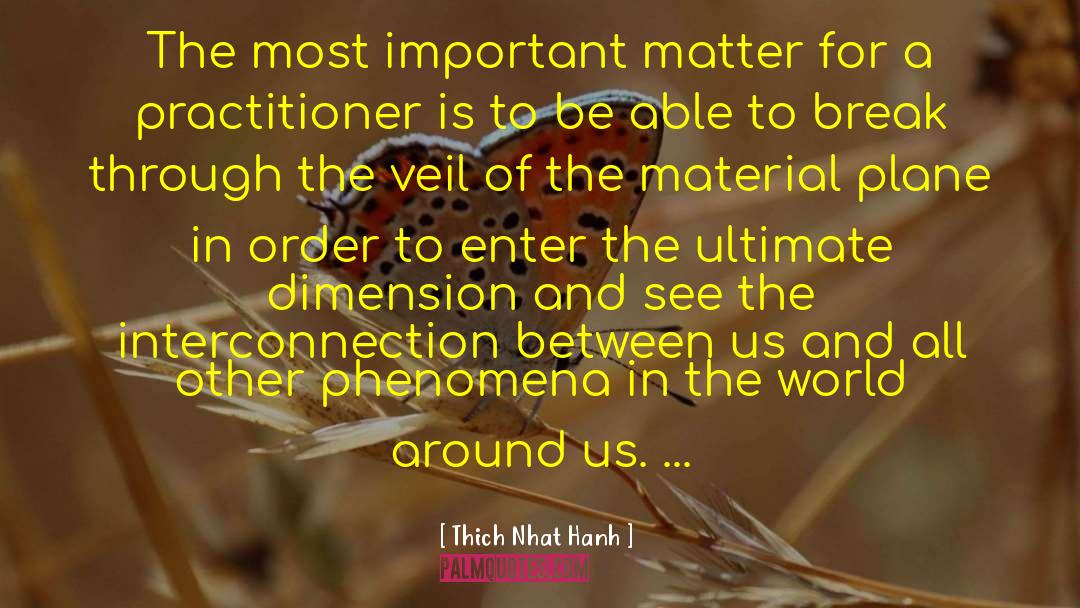 Interconnection quotes by Thich Nhat Hanh