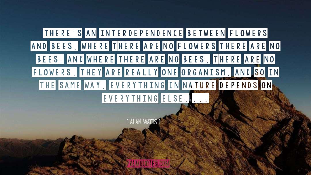Interdependence quotes by Alan Watts