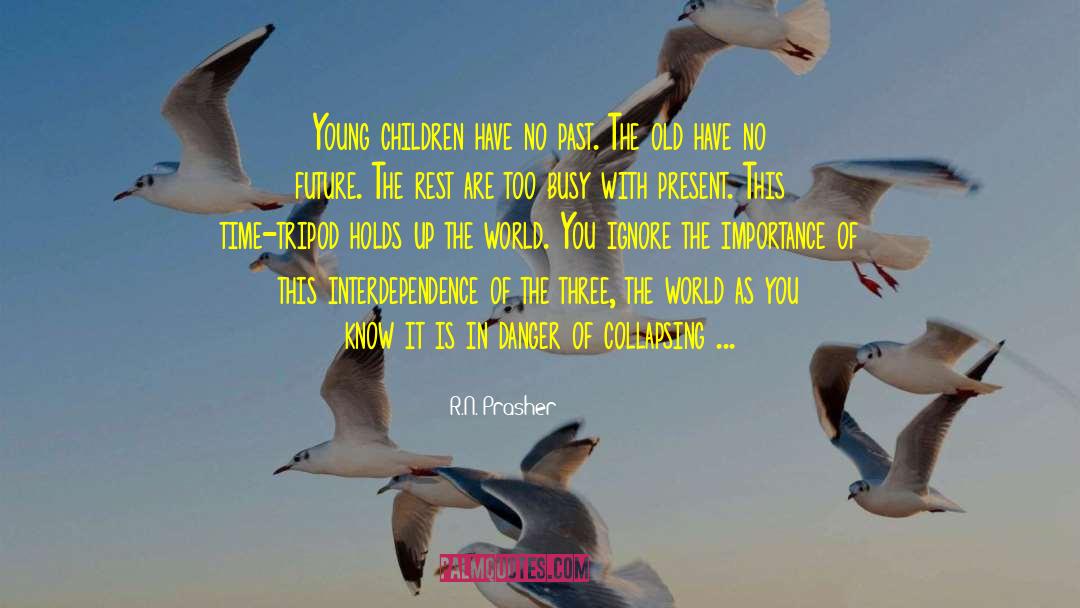 Interdependence quotes by R.N. Prasher