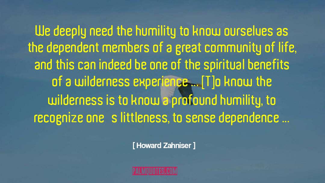 Interdependence quotes by Howard Zahniser