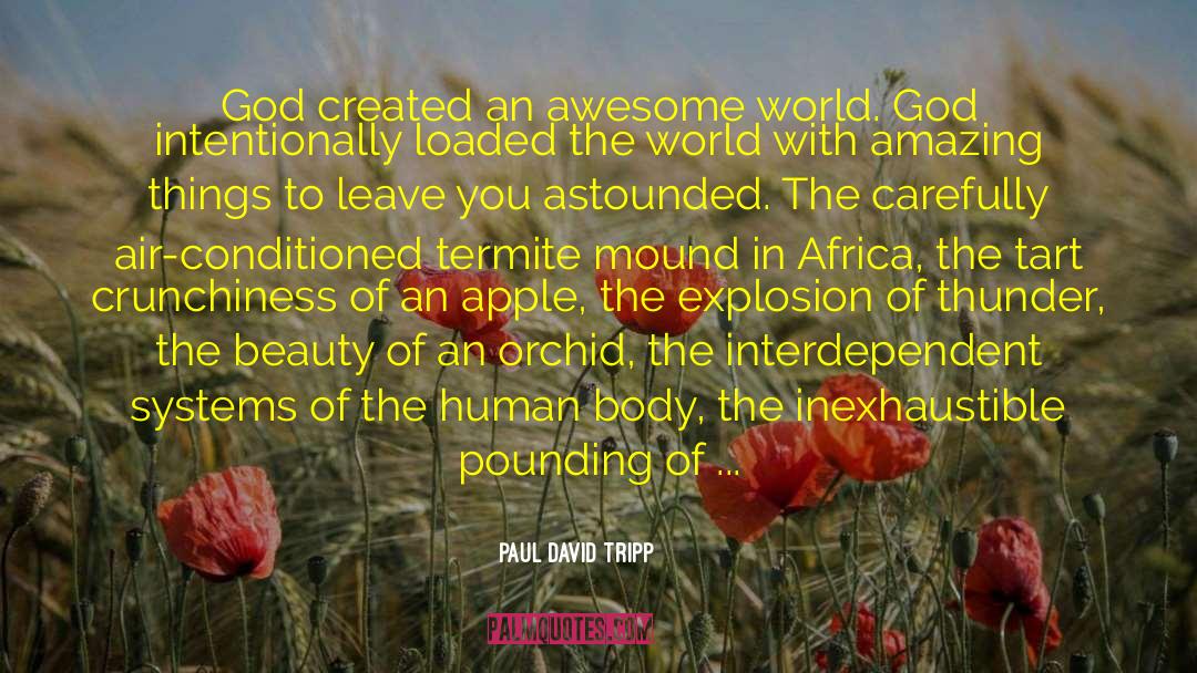 Interdependent quotes by Paul David Tripp