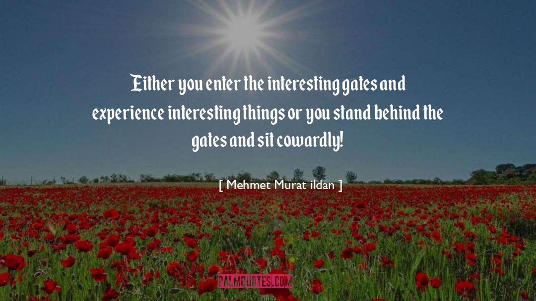 Interesting Things quotes by Mehmet Murat Ildan