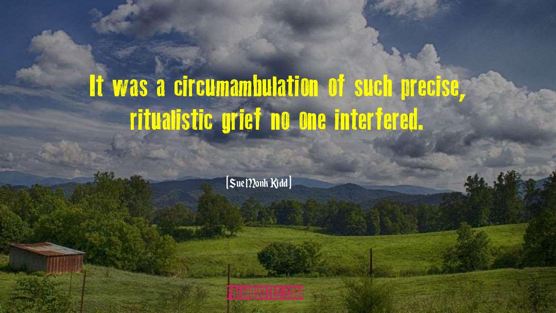 Interfered quotes by Sue Monk Kidd