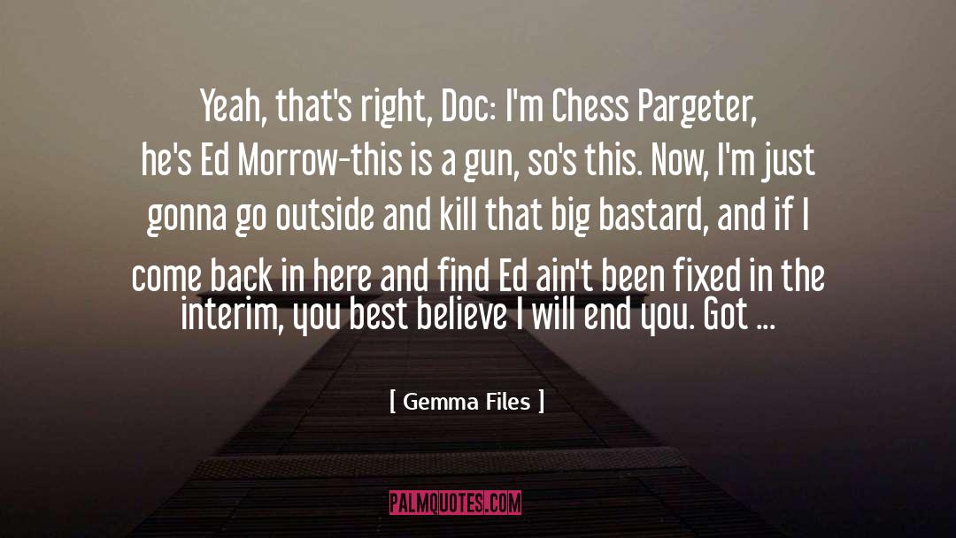Interim quotes by Gemma Files