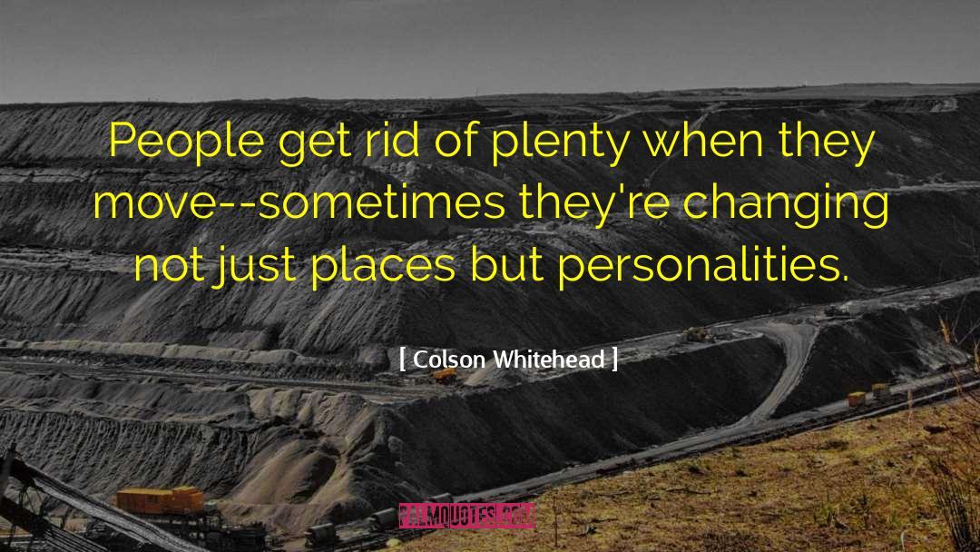 Interior Decorating quotes by Colson Whitehead