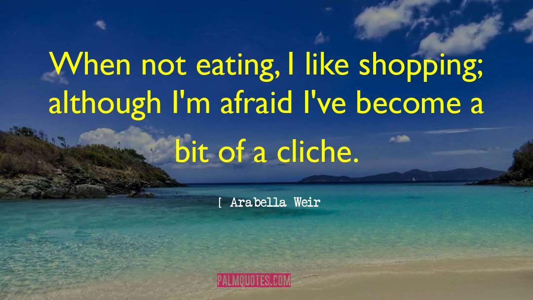 Intermesh Shopping quotes by Arabella Weir