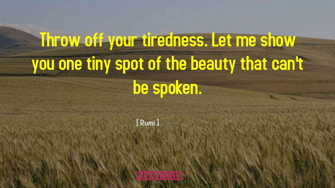 Internal Beauty quotes by Rumi