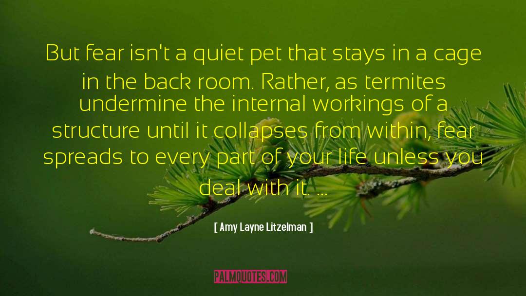 Internal Dialogue quotes by Amy Layne Litzelman