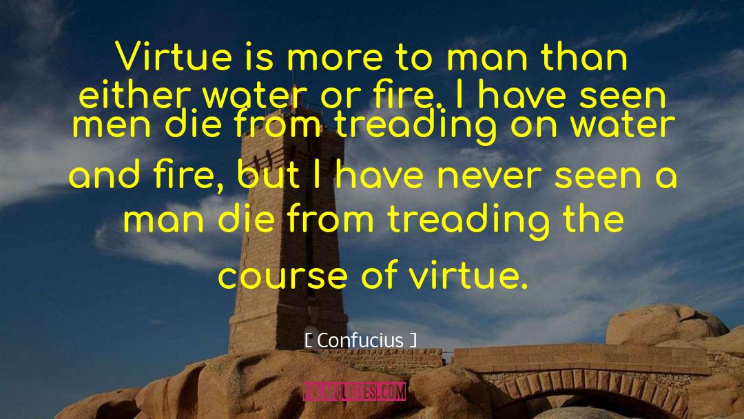 Internal Integrity quotes by Confucius