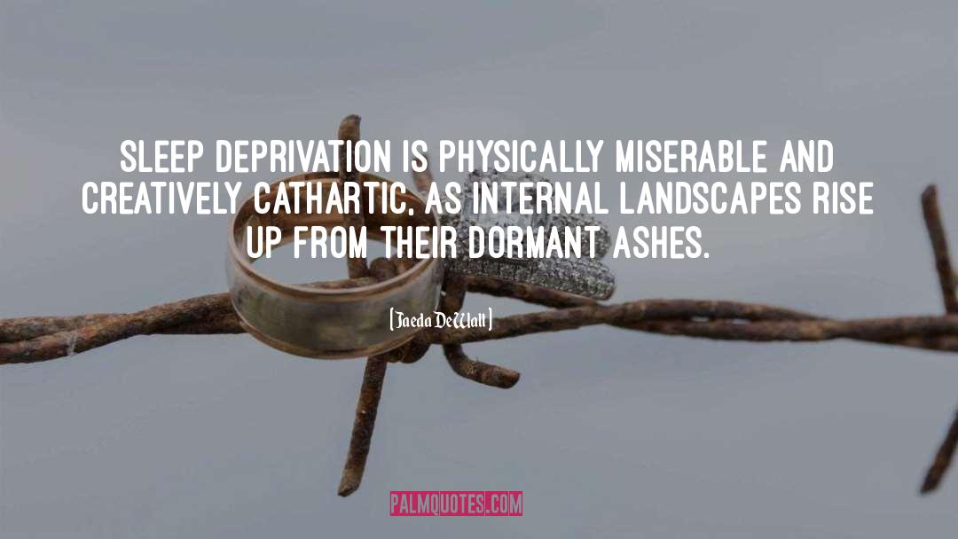 Internal Landscapes quotes by Jaeda DeWalt