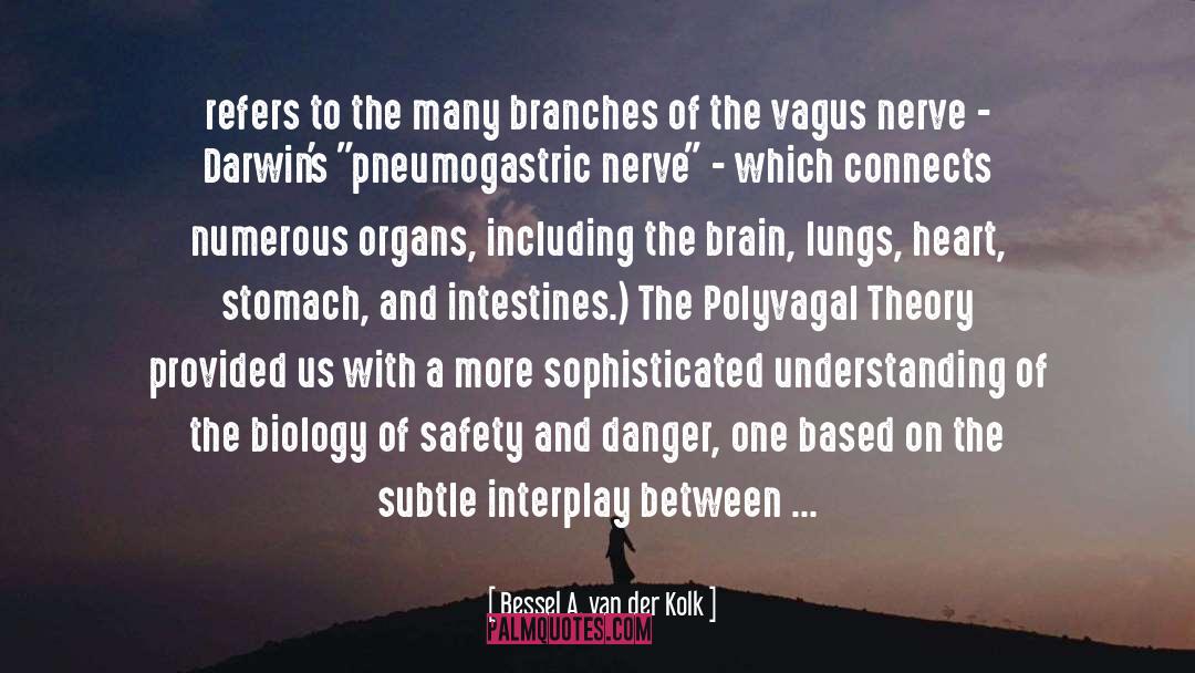 Internal Organs quotes by Bessel A. Van Der Kolk