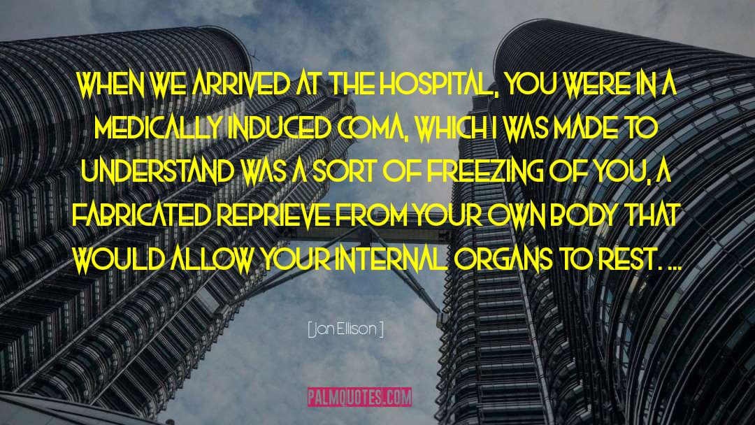 Internal Organs quotes by Jan Ellison