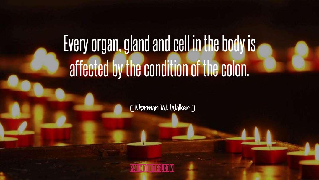 Internal Organs quotes by Norman W. Walker