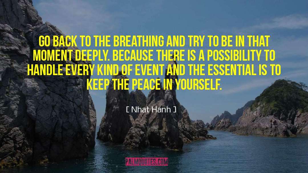 Internal Peace quotes by Nhat Hanh