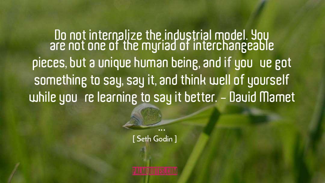 Internalize quotes by Seth Godin