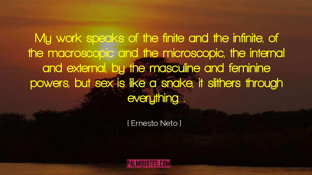 Internals quotes by Ernesto Neto