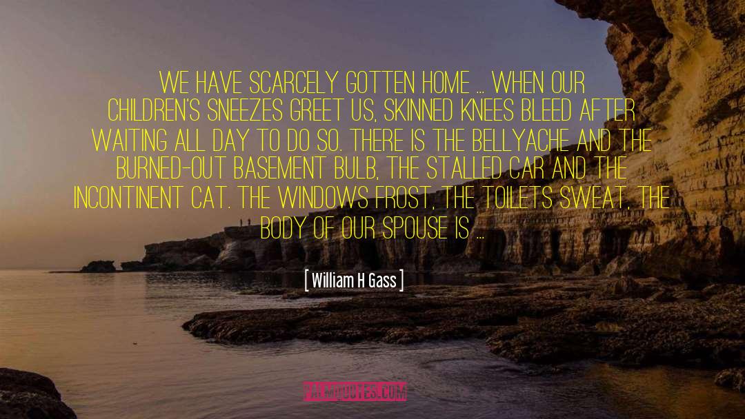 International Cat Day quotes by William H Gass