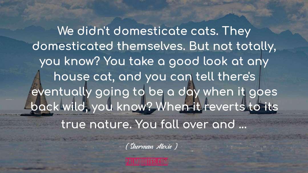 International Cat Day quotes by Sherman Alexie