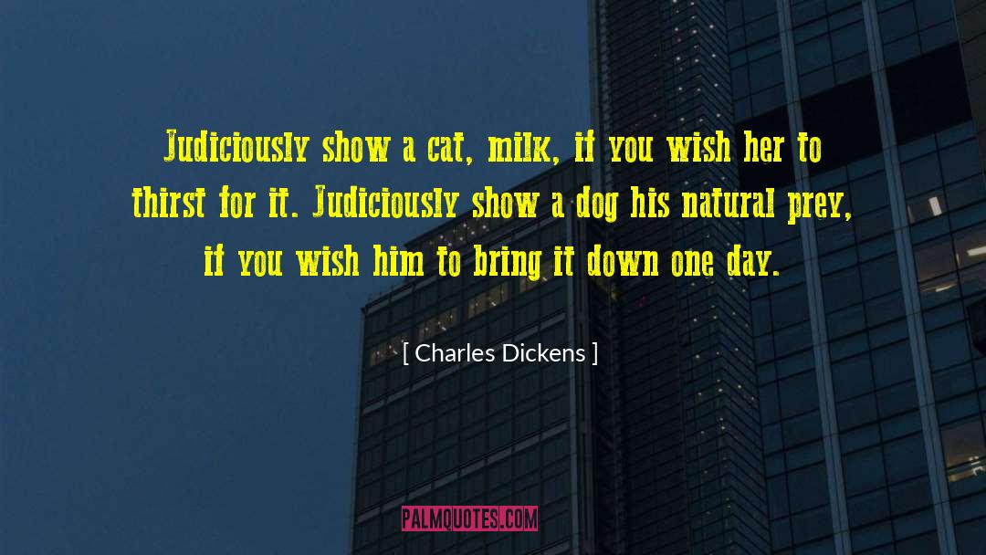 International Cat Day quotes by Charles Dickens