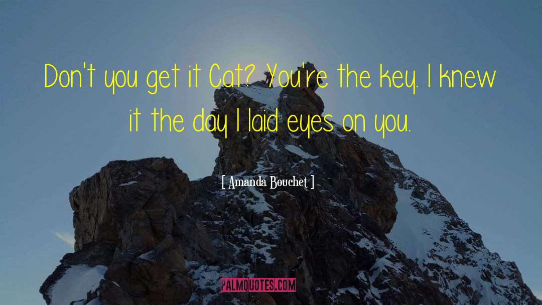 International Cat Day quotes by Amanda Bouchet