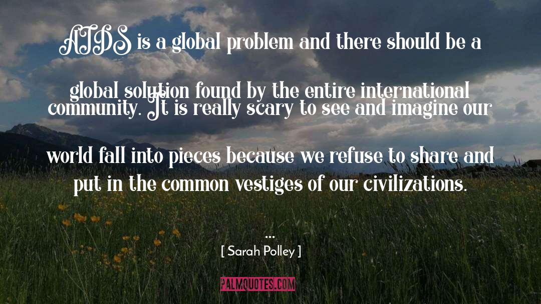 International Community quotes by Sarah Polley