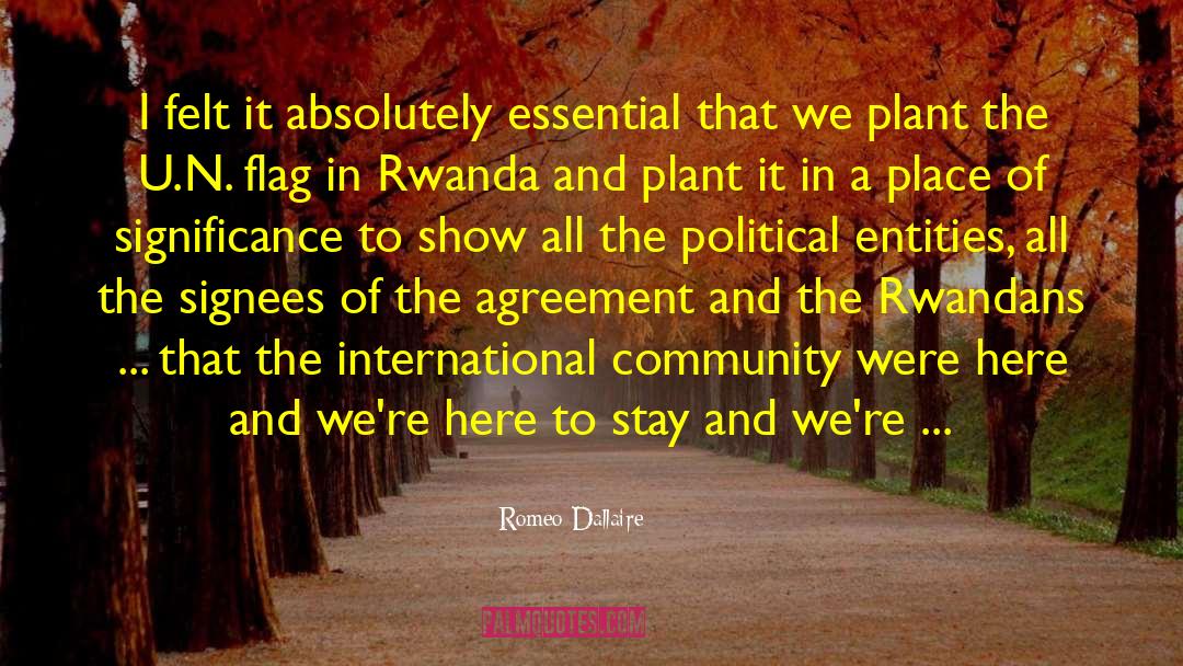 International Community quotes by Romeo Dallaire