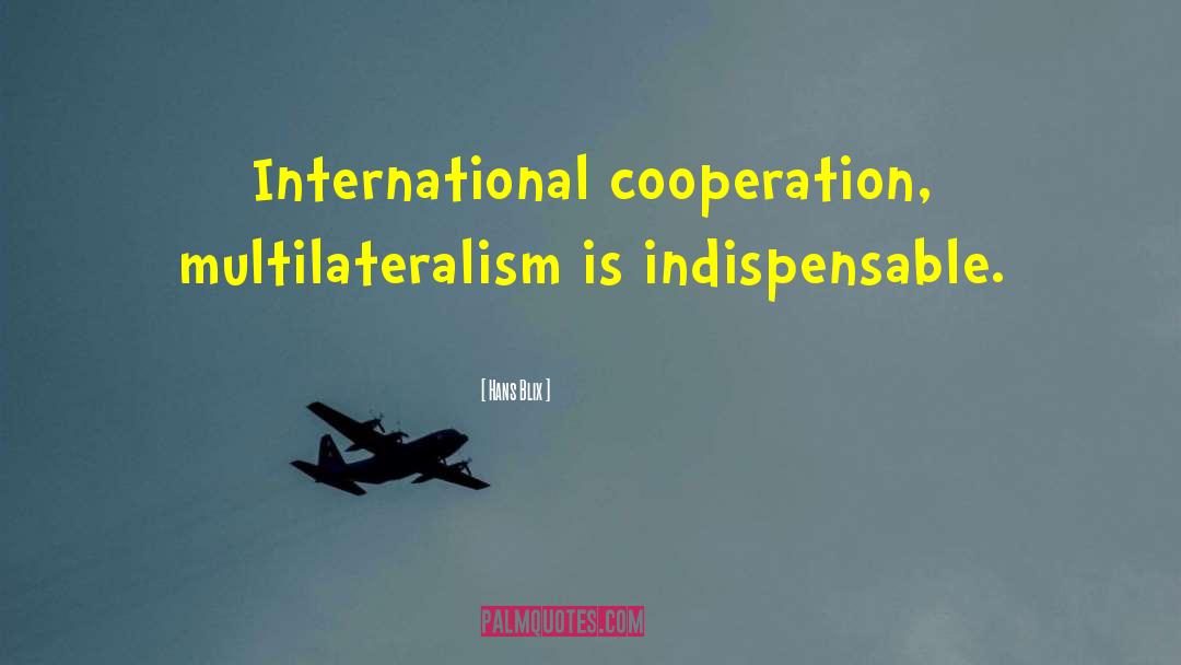 International Cooperation quotes by Hans Blix