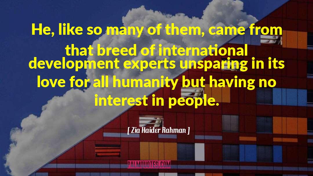 International Development quotes by Zia Haider Rahman