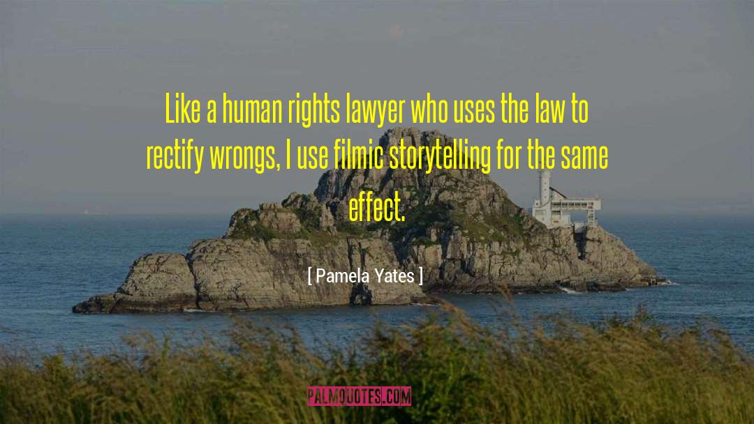 International Human Rights Law quotes by Pamela Yates