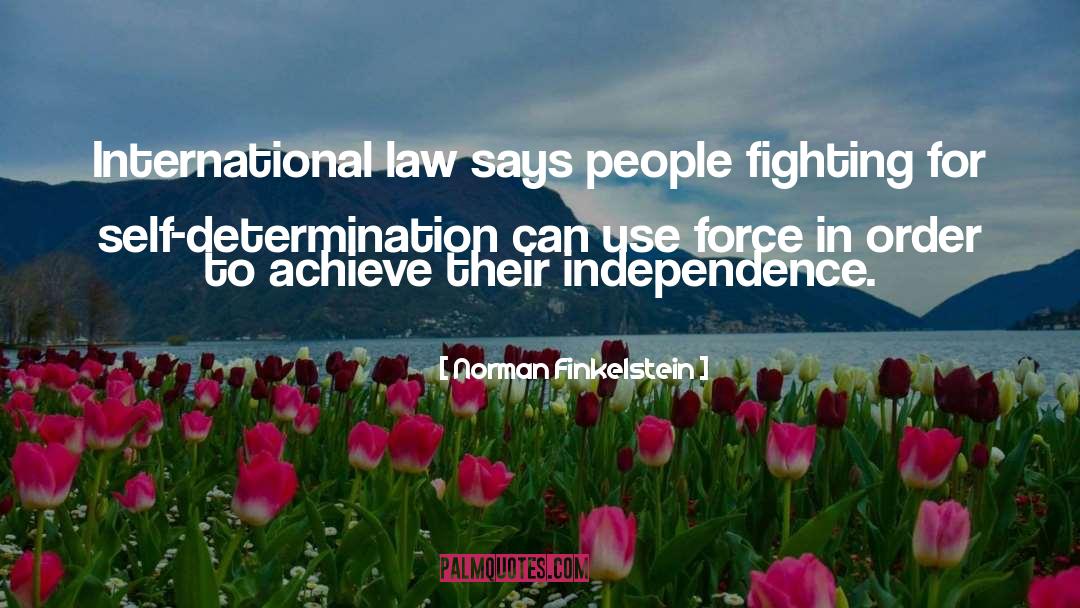 International Law quotes by Norman Finkelstein