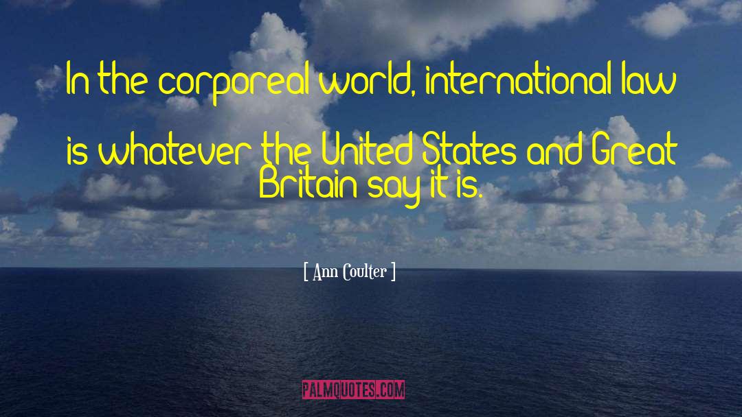International Law quotes by Ann Coulter